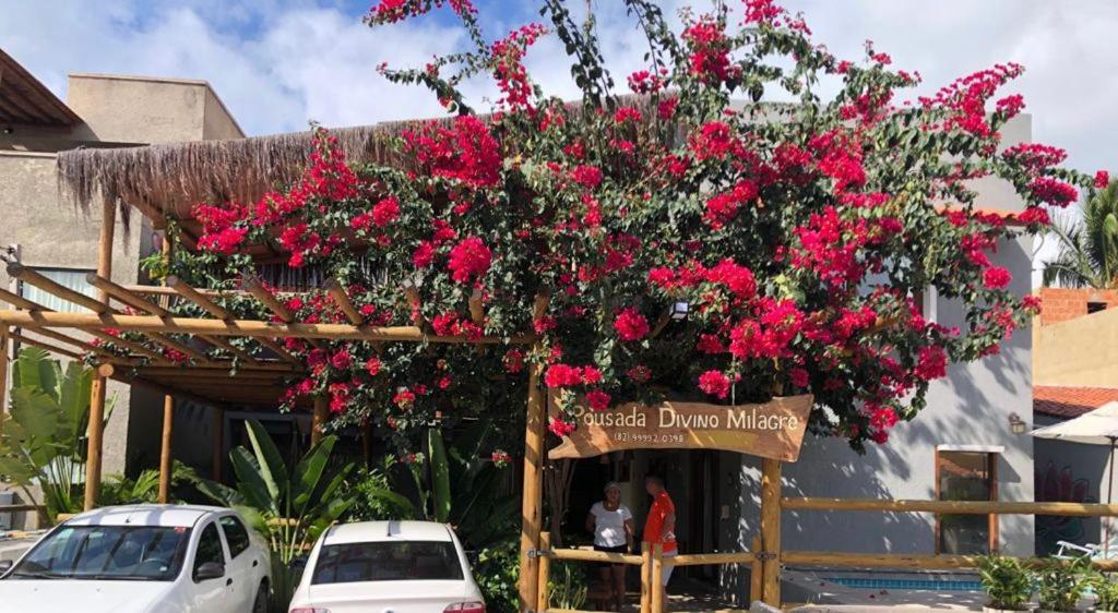 Pousada Divino Milagre Passo de Camarajibe Buitenkant foto