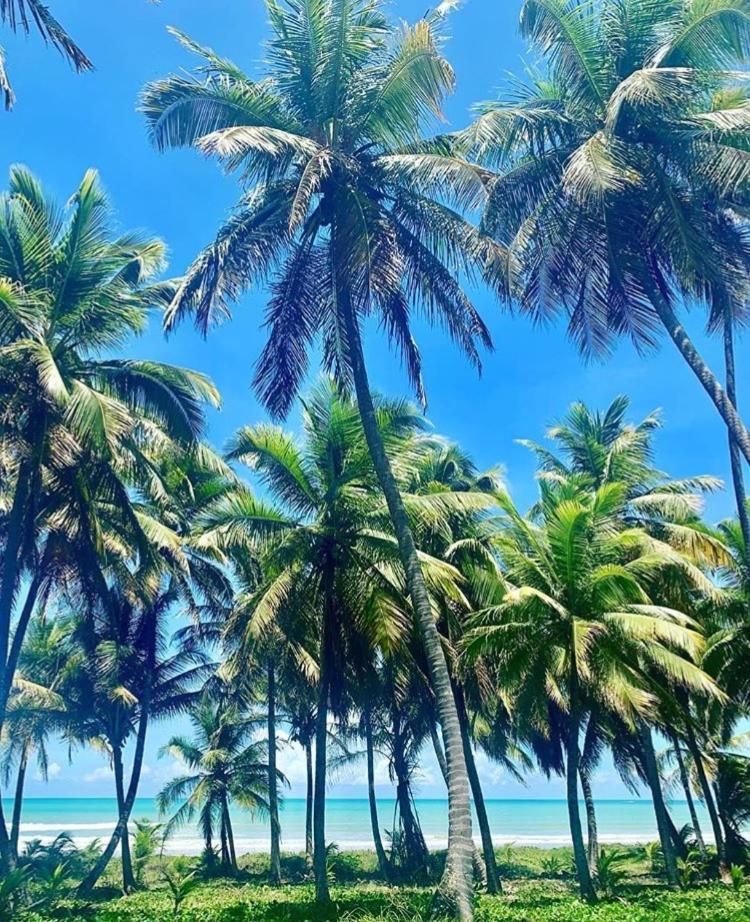 Pousada Divino Milagre Passo de Camarajibe Buitenkant foto