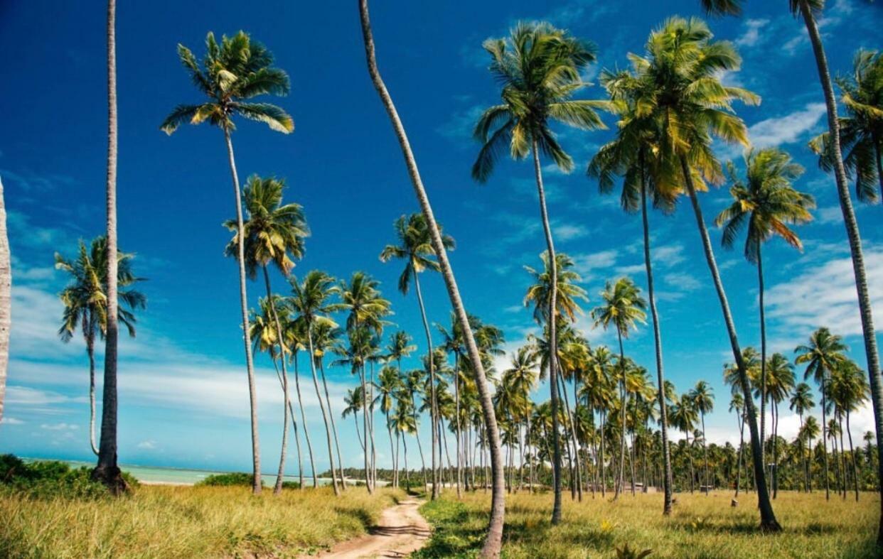 Pousada Divino Milagre Passo de Camarajibe Buitenkant foto